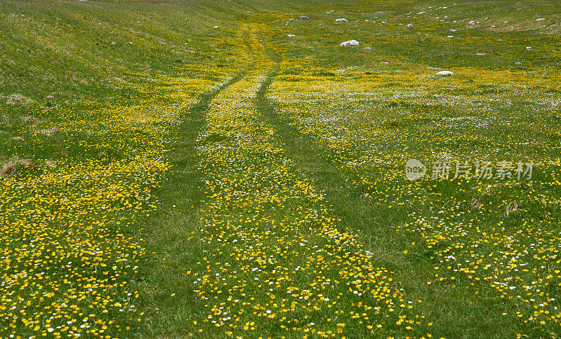 Campo Imperatore草原与乡村道路车辙和草地，意大利Abruzzi